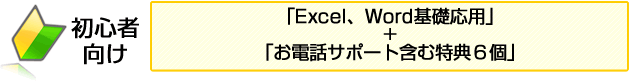 初心者向けExcel、Word基礎応用+特典6個