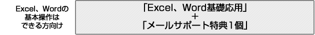 Excel、Wordの基本操作はできる方向け。Excel、Word基礎応用+特典1個